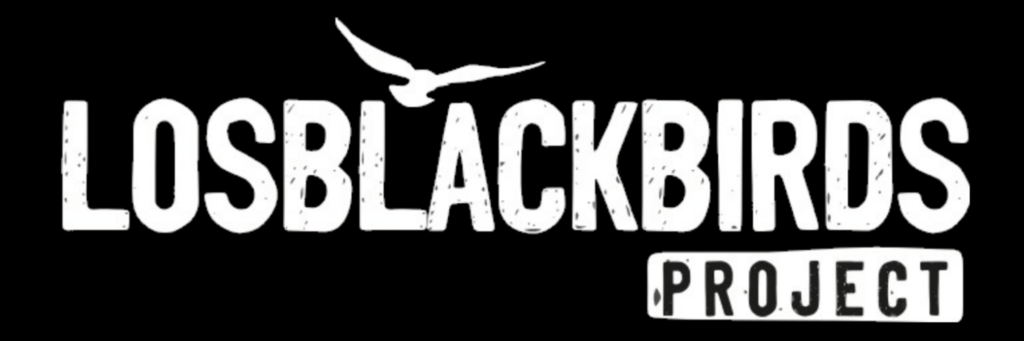 Los Blackbirds Project, Rock Mexicano 