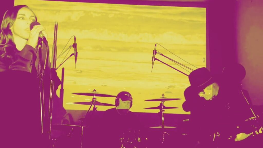 Stars and The Underground • Echolocation • Dark Synthwave from Auckland • Post Punk From Auckland • Shoegaze From Auckland • Auckland Post Punk Scene • Auckland Post Punk Bands • Auckland Shoegaze Bands • New Zealand Shoegaze • New Zealand Shoegaze Music • New Zealand Dark Synthwave Music • New Zealand Dark Synthwave Artists • New Zealand Dark Synthwave Bands • New Zealand Synthwave Music • John Mason • John McDermott • Hannah Berry • Talmar•