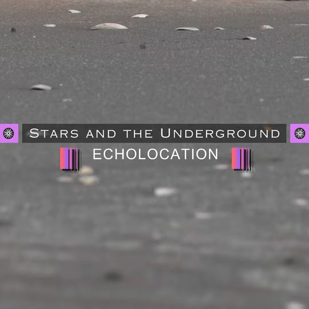 Stars and The Underground • Echolocation • Dark Synthwave from Auckland • Post Punk From Auckland • Shoegaze From Auckland • Auckland Post Punk Scene • Auckland Post Punk Bands • Auckland Shoegaze Bands • New Zealand Shoegaze • New Zealand Shoegaze Music • New Zealand Dark Synthwave Music • New Zealand Dark Synthwave Artists • New Zealand Dark Synthwave Bands • New Zealand Synthwave Music • John Mason • John McDermott • Hannah Berry • Talmar•